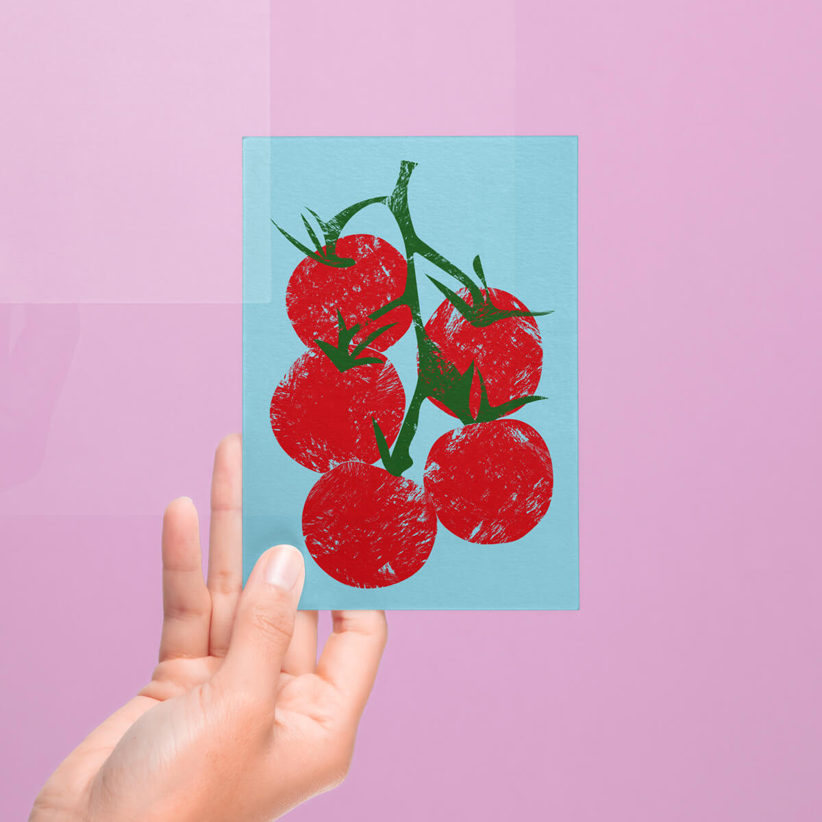 VINE TOMATOES POSTCARD