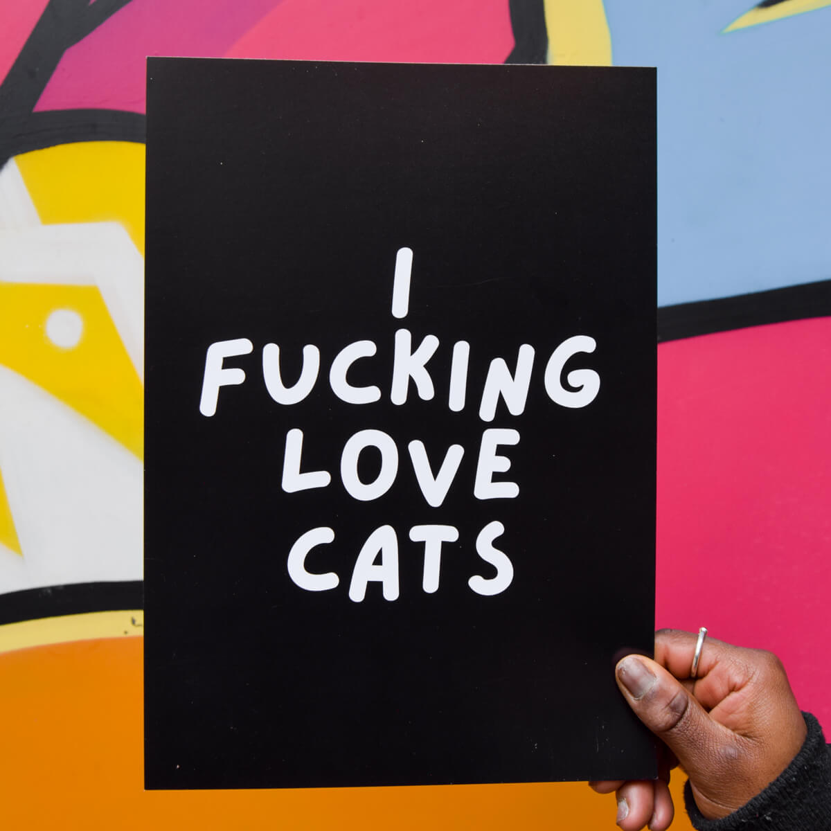 I FUCKING LOVE CATS A4 PRINT - PACK OF 3 - Extreme Largeness Wholesale
