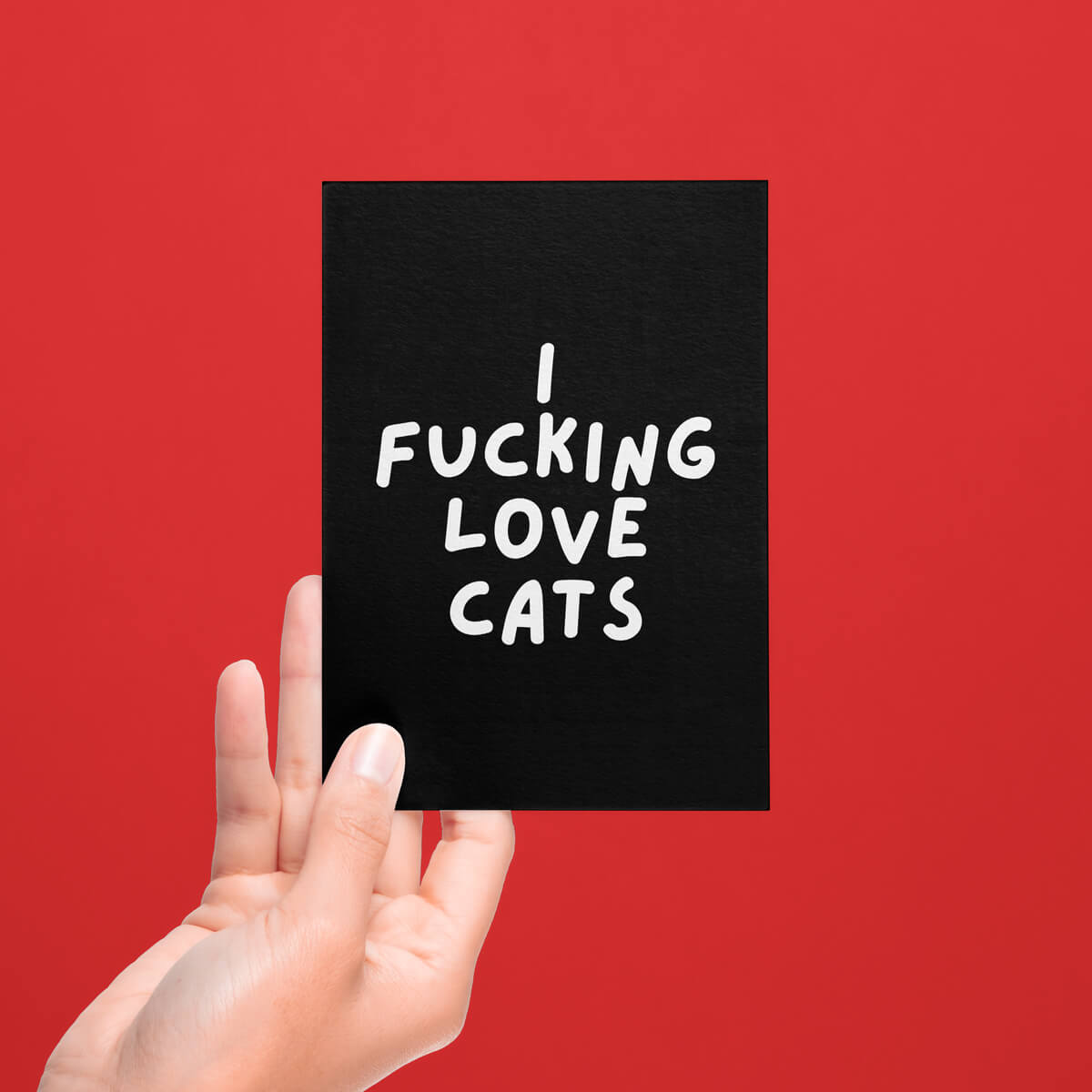 I FUCKING LOVE CATS POSTCARD - PACK OF 5