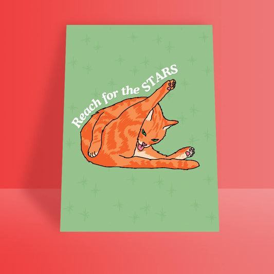 CAT LICKING BUTT A4 PRINT - PACK OF 5