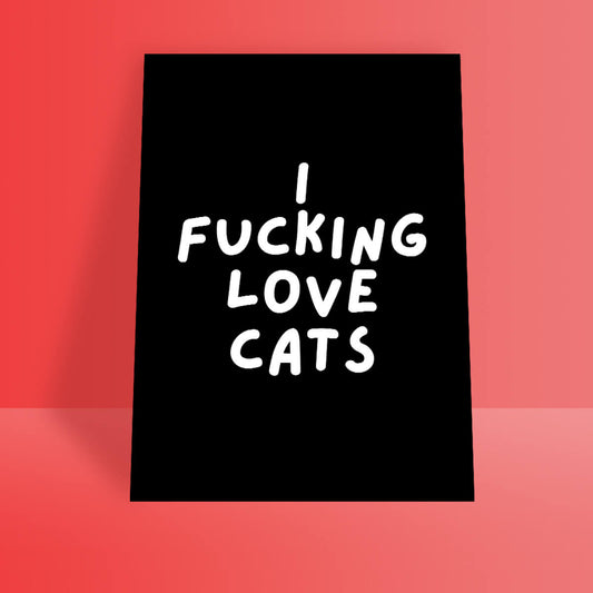 I FUCKING LOVE CATS A4 PRINT - PACK OF 5