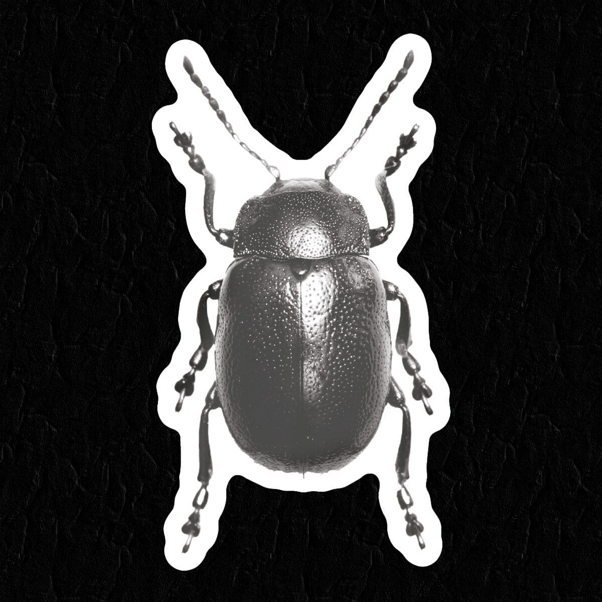 Beetle Sticker • Extreme Largeness Wholesale