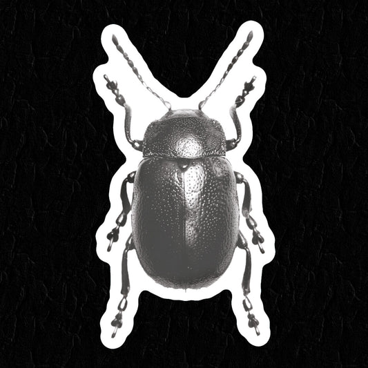 Beetle Sticker • Extreme Largeness Wholesale