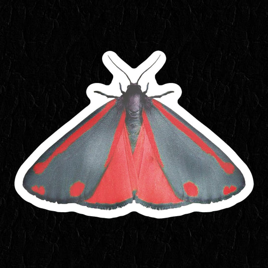 Moth Sticker • Extreme Largeness Wholesale