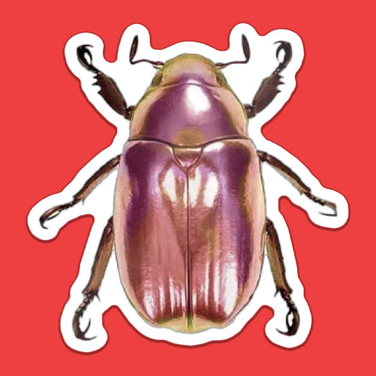 Shiny Beetle Sticker • Extreme Largeness Wholesale