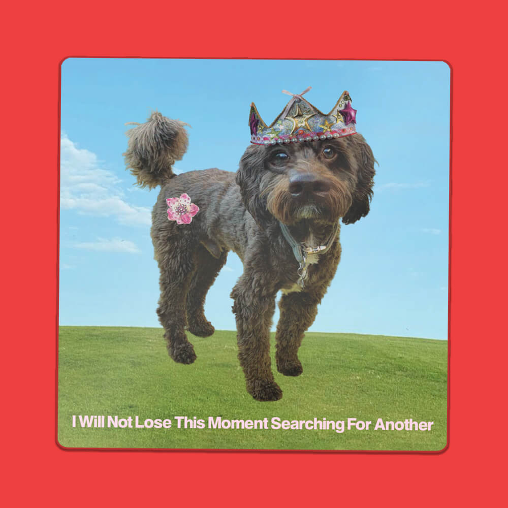 I Will Not Lose This Moment Searching For Another Sticker • Extreme Largeness Wholesale