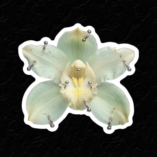 ORCHID PIERCINGS STICKER