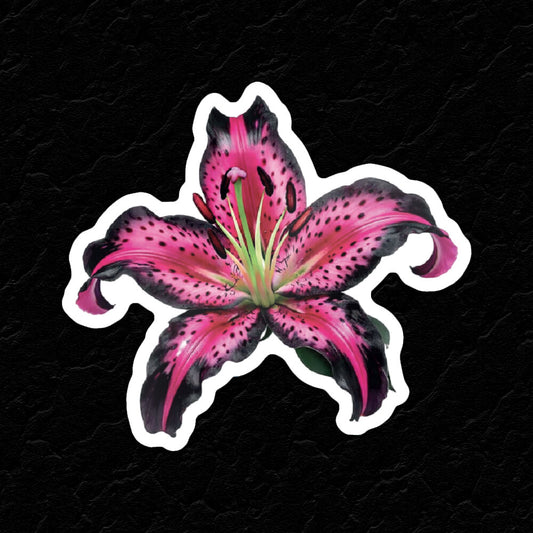 PINK LILY STICKER