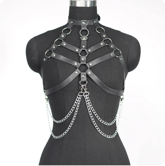 ACCS40 Harness 9 Hoops & Hanging Chains