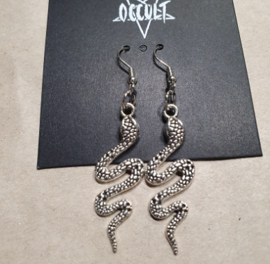 ER424 Plain Snake Silver Earrings