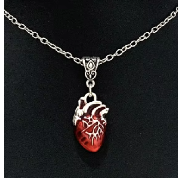 LNK379 Anatomical Heart Necklace