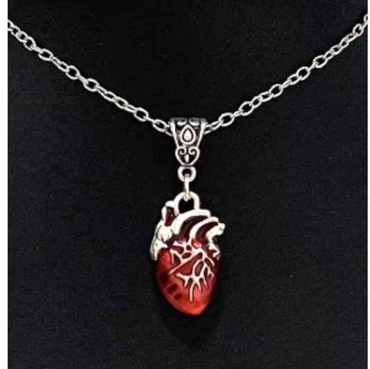 LNK379 Anatomical Heart Necklace